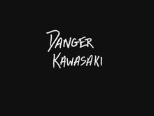 Load and play video in Gallery viewer, ANDY LIVES
